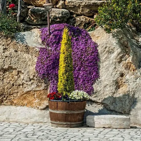 Landhaus Il Giardino Dei Flintstones